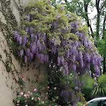 Les Vieilles Vignes Guest house 3*