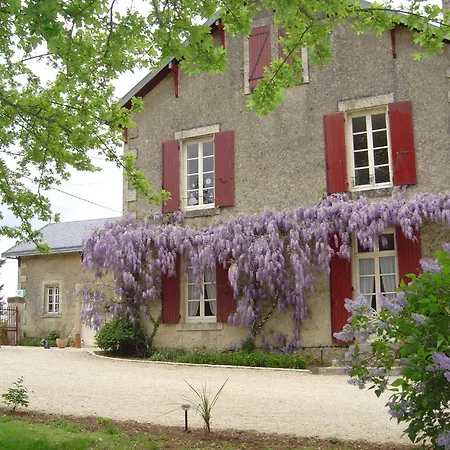 Les Vieilles Vignes